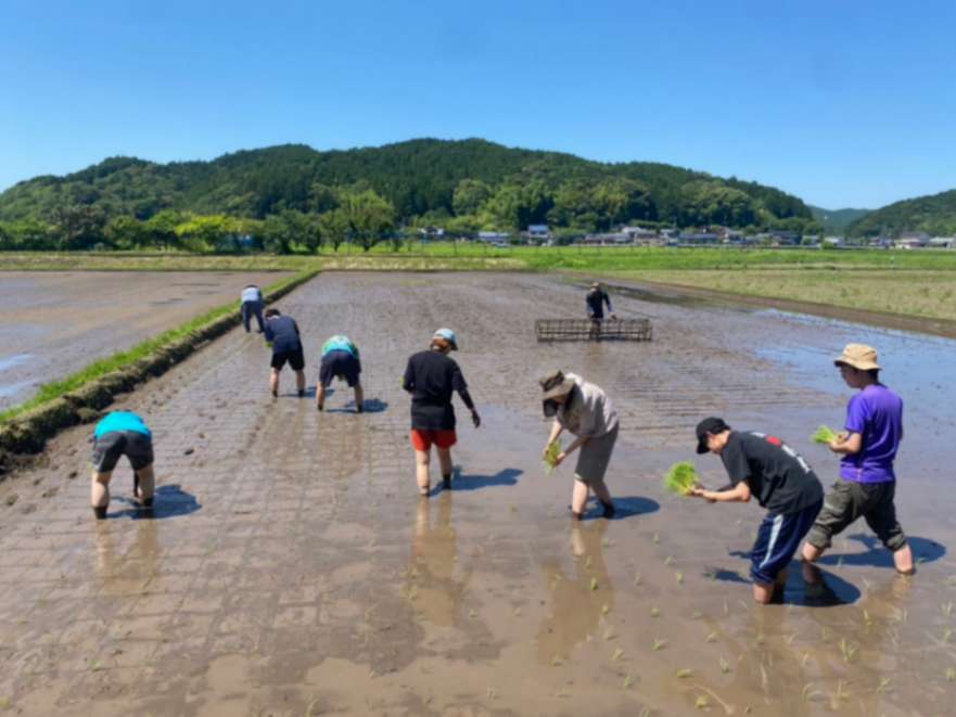 学生団体　国際茶屋